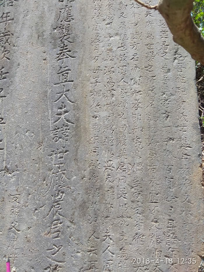 cns_nong_58a4c07c35339264b7_7.jpg