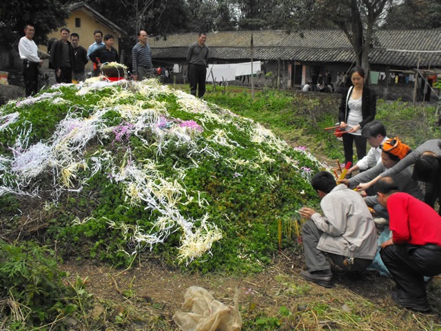 cns_nong_6161c353b4c8cdd370_11.jpg