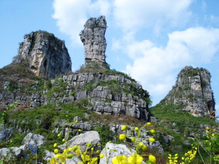 cns_nong_6c28c3914ac67912d9_22.jpg