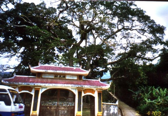 cns_nong_70b79e70216e475d17_1.jpg