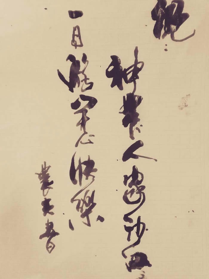 cns_nong_71d2798639610b6f24_1.jpg