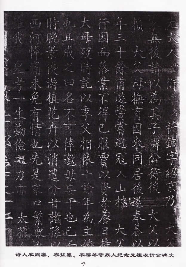 cns_nong_76d40bc3fc9c7b2386_7.jpg