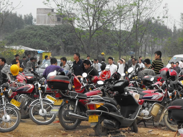 cns_nong_a2130bd5ada1b4356a_8.jpg