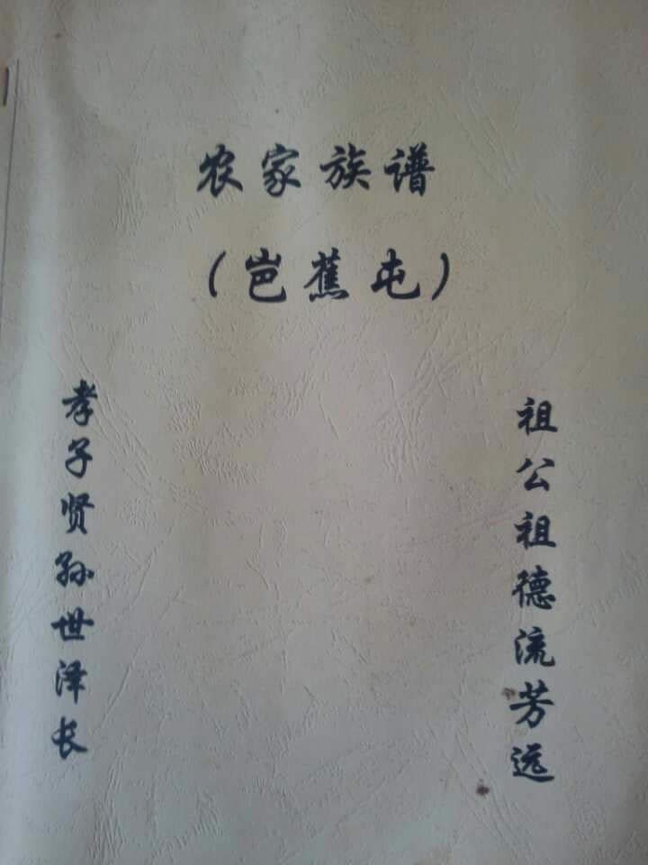 cns_nong_a4a2c8bb810b67a783_0.jpg