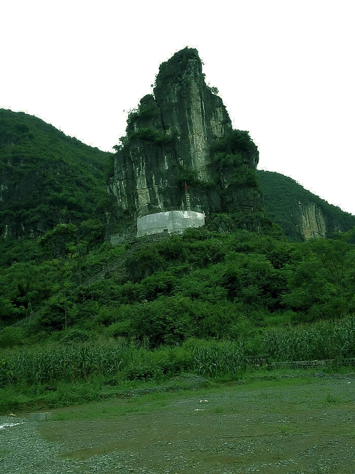 cns_nong_af0ba40ec6f82dff91_2.jpg