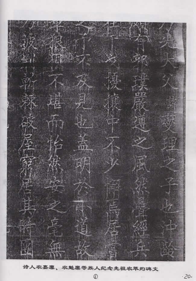 cns_nong_b76bc9b129fc4fb088_4.jpg