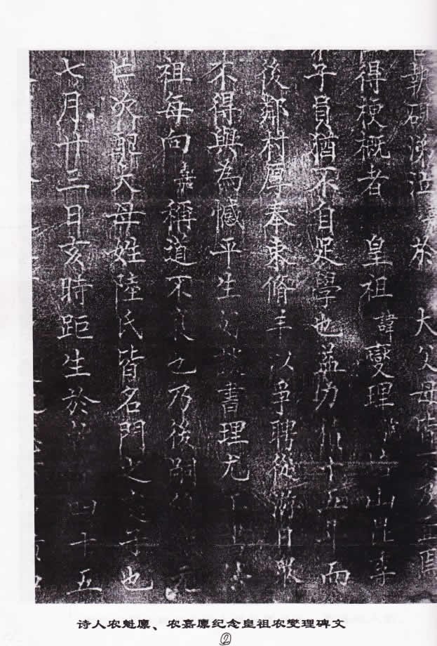 cns_nong_e69dd65235e96bd744_5.jpg