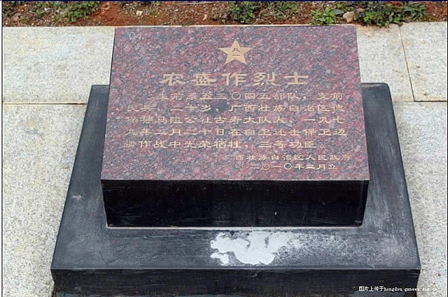 cns_nong_e7f34ee196ae3c3c7a_1.jpg