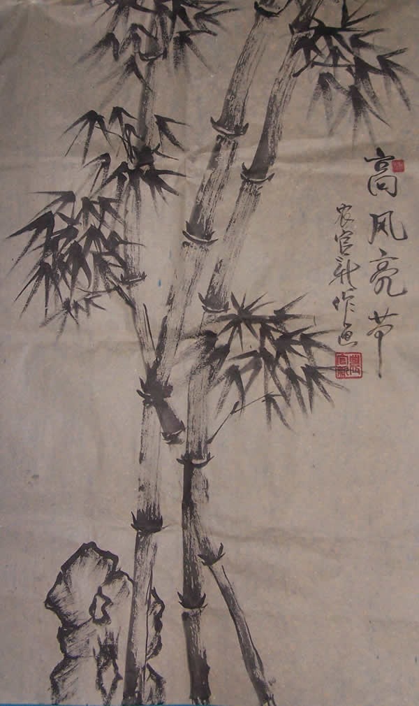 cns_nong_e8cf240de3a4ec18e0_3.jpg