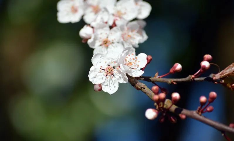 21世纪河南作家系列研究工程 ： 河南小小说二十家之平萍（文献整理）.jpg