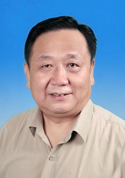 平书桥--湖北省新闻出版局（省版权局）副巡视员（人物资料）.png