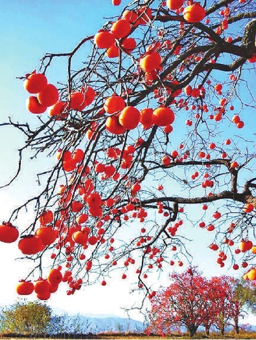 太行深处桥上村（文献整理）.jpg