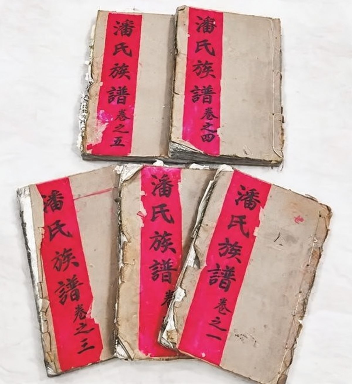 蝴蝶墓内长眠救驾有功的潘总兵（文化资料整理）.png