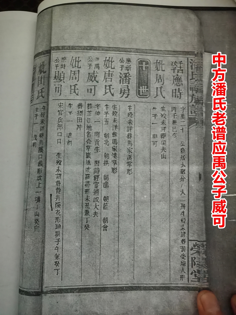 江苏籍明初云南平章潘原（元）明与中方谱潘云高或梦奎公次子潘远明辨析（文化资料整理）.jpg
