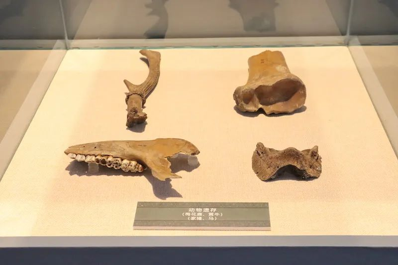 许多家谱上讲到的秦汉会稽郡治所到底在哪？（谱牒资料）.png