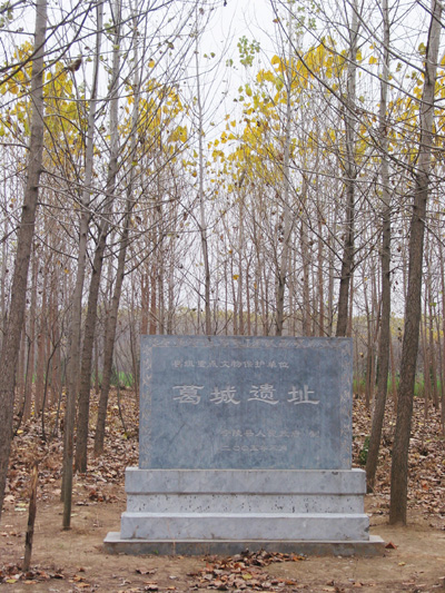 54d68d9902000roo_0.jpg