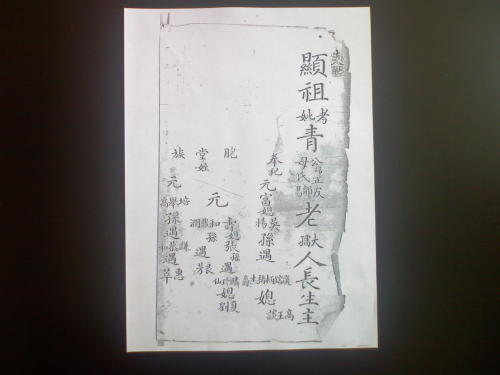 青氏家谱