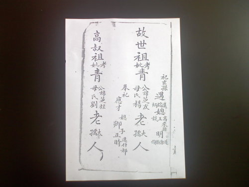 nova 青氏家谱