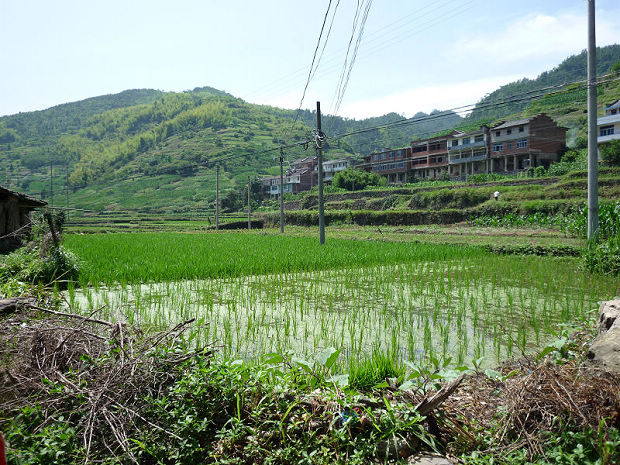 眼前的田角，原先是潜复松墓所在地，文革时墓被毁：