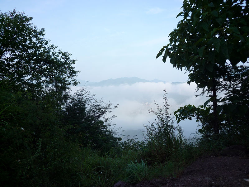 P1000247.jpg