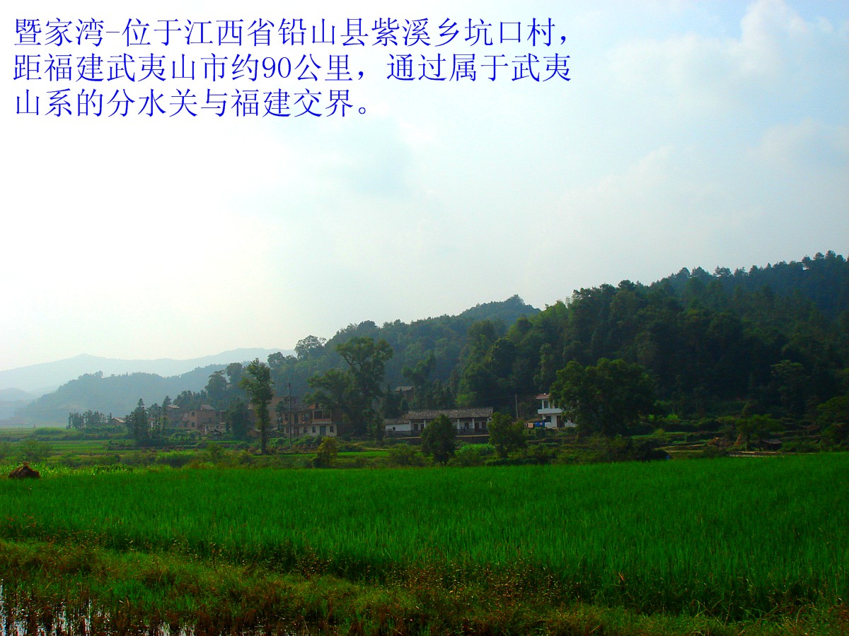 01.jpg
