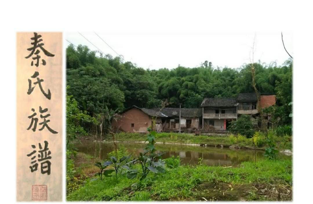 重庆市渝北区石船镇麻柳沱(三坵田)《秦氏族谱》(谱牒资料).jpg