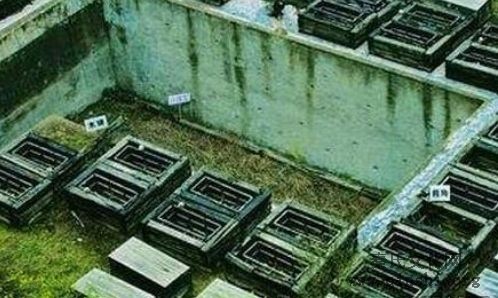揭秘天下第一墓：秦公一号大墓 盗洞160个（文化资料整理）.jpg