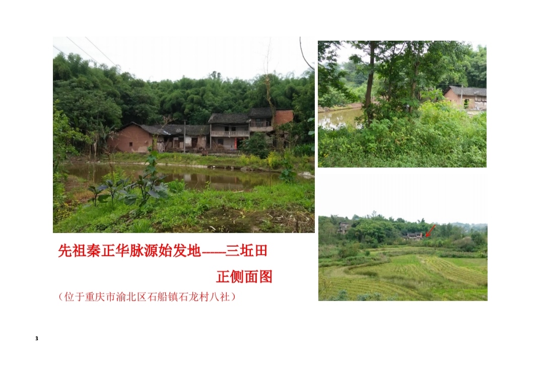 重庆市渝北区石船镇麻柳沱(三坵田)《秦氏族谱》(谱牒资料).jpg