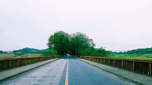 0cc10d76d5342ca144d6ca93115b.jpg