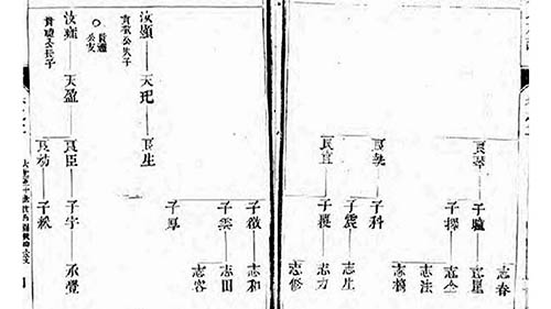 45772a52fc46b8e5766d027c0f63.jpg