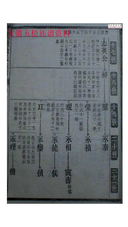 5747ad384db796e553cc241a3f69.jpg