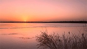 b039f645504c5042afb786ed0a7f.jpg