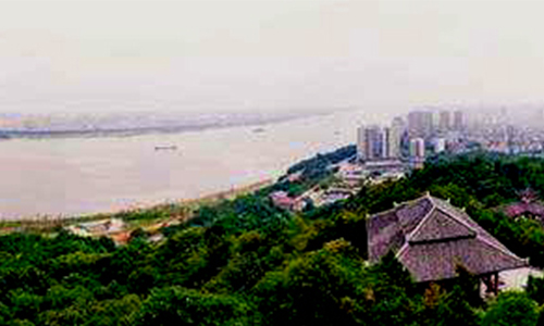 b7f1bf87ce276890e73f89d7cf58.jpg