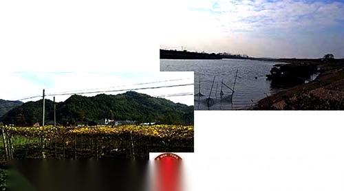 c4ebccd03e6e424494e6ea7d1fd3.jpg