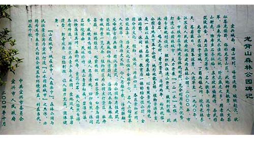 db89a76d56f447c320bfb6aa110b.jpg