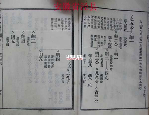 e17377d0b6412fc7d3e853056fa0.jpg