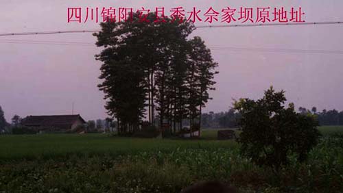 efedb3fb4f9b82cb7513a5192fd9.jpg