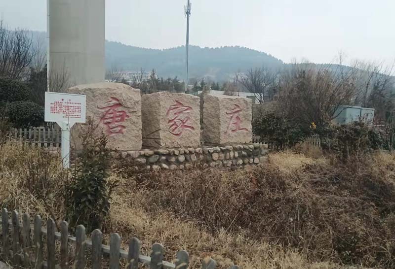 tang_0d00ab53f714575939_05.jpg