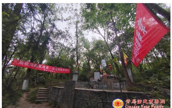 tang_1147ddaa9330731b94_11.jpg