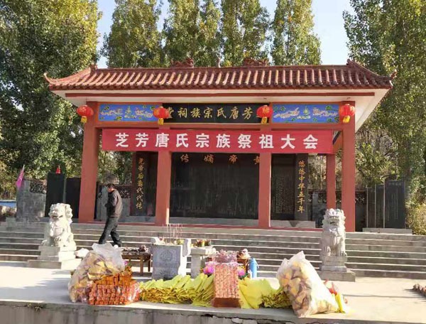 tang_42632cc338f871ba50_00.jpg