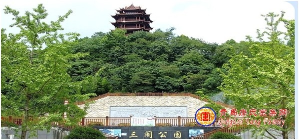 tang_54101a9981a9882b8c_00.jpg