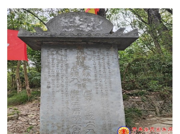 tang_5cc5d65a418310aa71_10.jpg