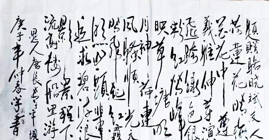 tang_695136148b3ee9ea50_02.jpg