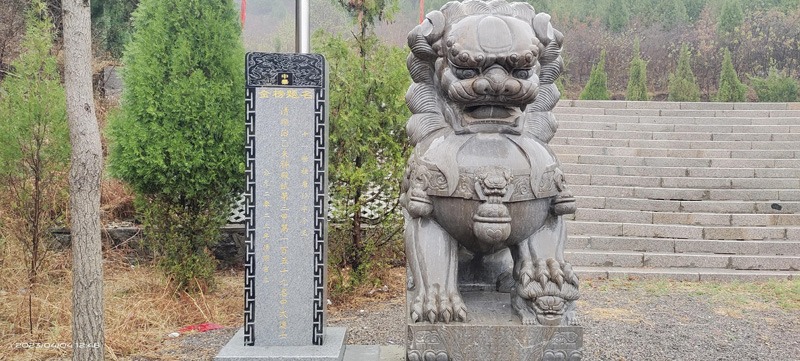 tang_6d9928e13507dd0196_09.jpg
