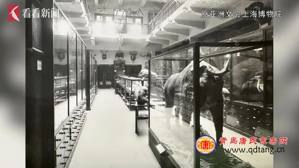 tang_70839bc6be5ad43018_01.jpg