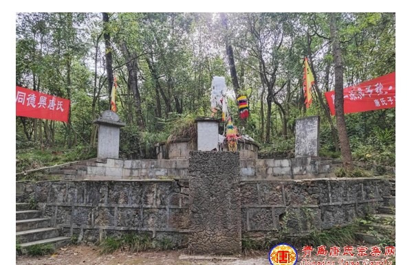 tang_a6de9b8053d119c2ad_03.jpg