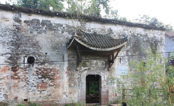 tang_a86e09e63cd07a14f8_00.jpg