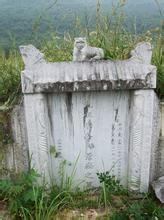 tang_b8656233c6718eb395_00.jpg