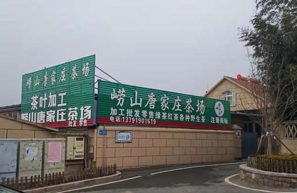 tang_b8df2b0807990ed015_02.jpg