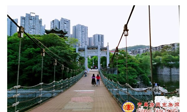 tang_c8cd8ddc503f3955e6_13.jpg